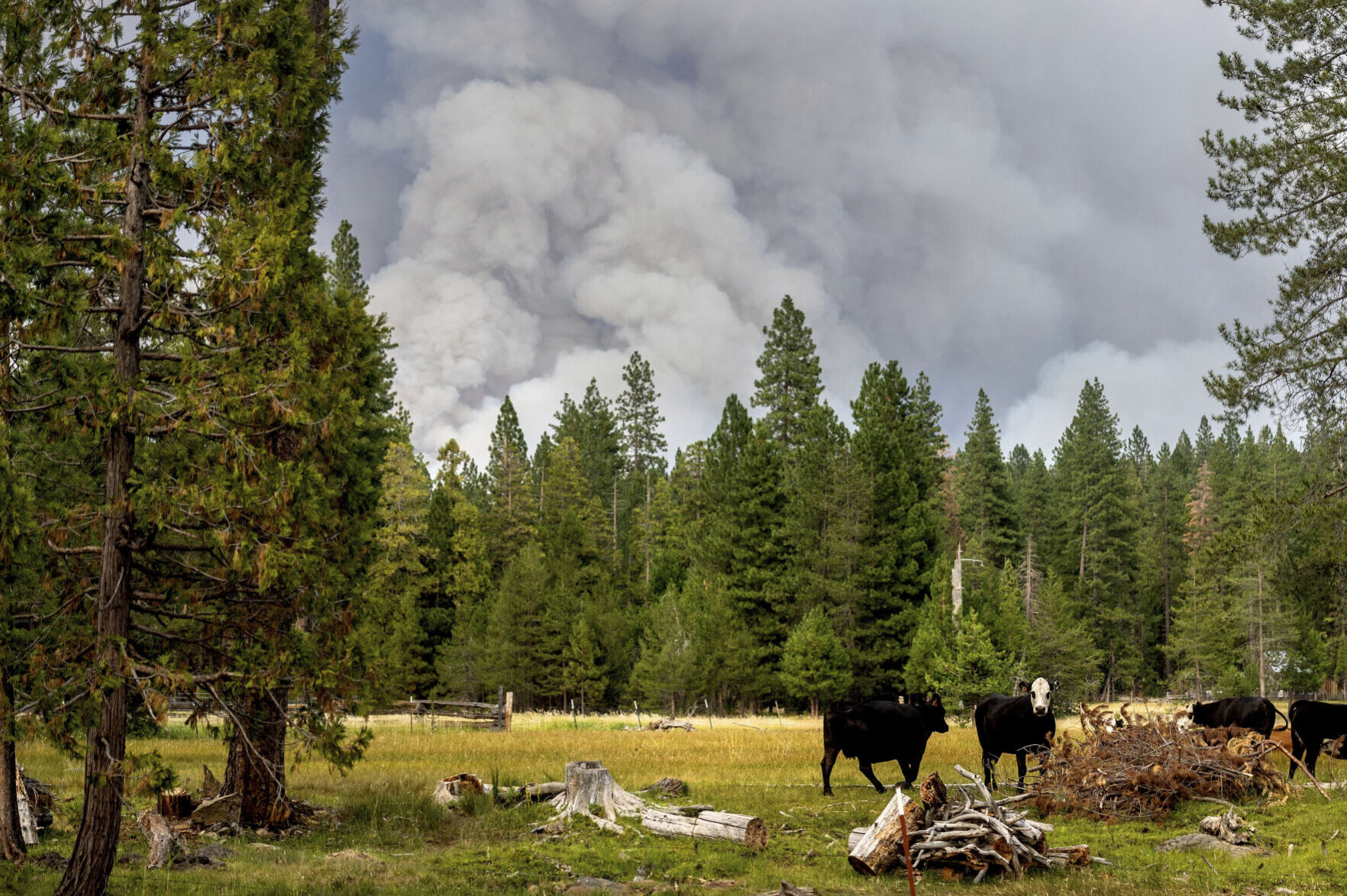 California Wildfires